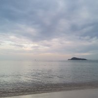 ngochuynzf (@ngochuy28545306) 's Twitter Profile