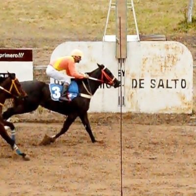 Seguinos en esta PASIÓN🐎🐎🐎🐎🐎🐎