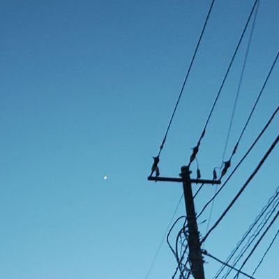狼月(狼の皮を被った犬)さんのプロフィール画像