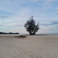 nguyen_suakt (@nguyen_su9563) 's Twitter Profile