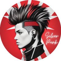Silver Punk(@silverpunkpour) 's Twitter Profile Photo