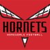 Honesdale Hornets Football (@HHSHornets_FB) Twitter profile photo
