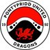 Pontypridd United Women (@PontyUnitedW) Twitter profile photo