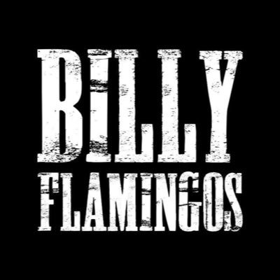 BillyFlamingos Profile Picture