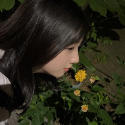 hyaku_to_sen Profile Picture