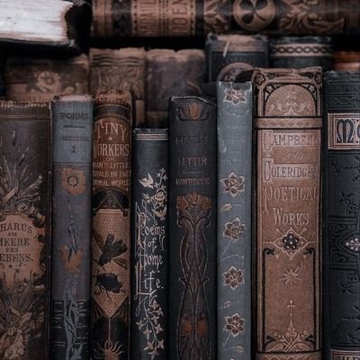 booklover379's profile picture. my mind