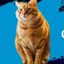 Gatitos y Motivación!! (@chikicatmusic) Twitter profile photo Gatitos y Motivación!! (@chikicatmusic) Twitter profile photo