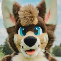 Varro (@varrowolf) 's Twitter Profile Photo Varro (@varrowolf) 's Twitter Profile Photo