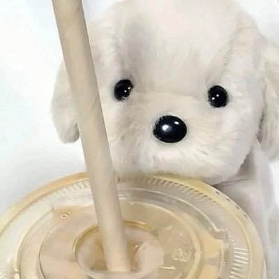 TvnIyKmJL050016's profile picture. 