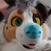 Marsh! (@marshtheaussie) Twitter profile photo Marsh! (@marshtheaussie) Twitter profile photo