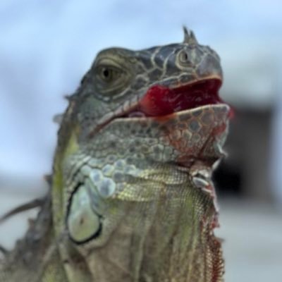 JBさんのプロフィール画像