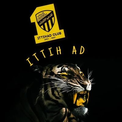 mmdlzhr44800371's profile picture. 