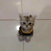 ㄹㄱ (@ainuvget) 's Twitter Profile Photo ㄹㄱ (@ainuvget) 's Twitter Profile Photo