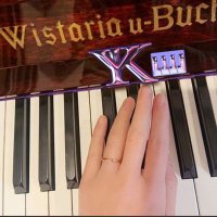 ゆみきてぃ@作曲、ピアノ即興演奏、クリエイター、DTM、You Tube、弾き語り、癒やし系 (@yumikittypiano) 's Twitter Profile