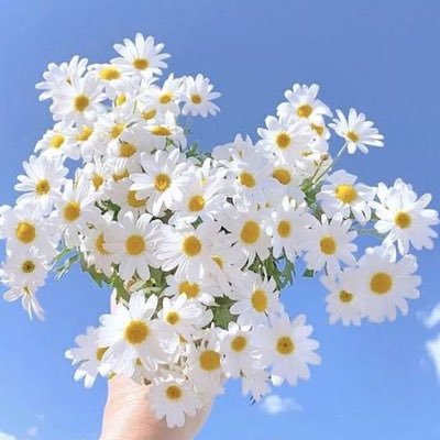 ::::: You make me happy as fresh as a ˚˚ʚ Daisy ɞ˚˚ ::::: #ต่ายอรทัย 🐰 #taiorathai #ไผ่ต่าย #คุณออเอง #ยัยหนูออ 🤍 ชื่อพลอยเฉย ๆ 🤍