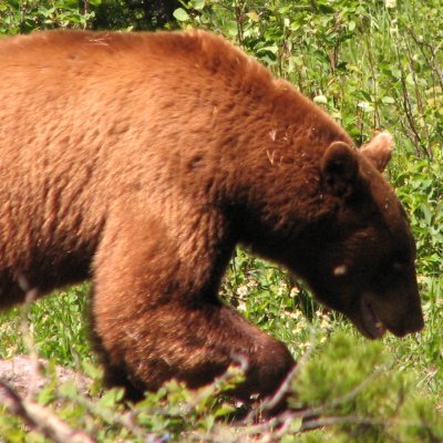 RevRansom's profile picture. Chemistry, Philosophy, Theology.  Body, Mind, Soul.  I am a student of all three.