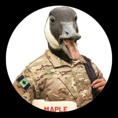 🇨🇦 John Summerfield. Ottawa based at NDHQ. Mostly jokes but some thoughts about doctrine, leadership, culture, & tech.
Pro Patria.