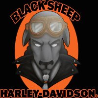 Black Sheep H-D(@PatrickQui82743) 's Twitter Profile Photo