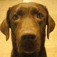 ででまる (@dedemaruenzo) 's Twitter Profile Photo