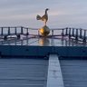 Gary1205P's profile picture. father of 3 and big spurs fan