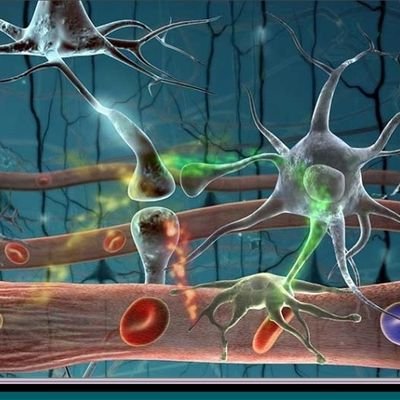 gonultoprak019's profile picture. 