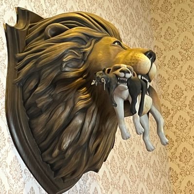 kornsacktweet's profile picture. 