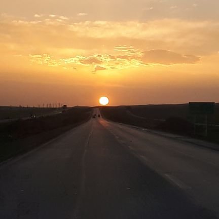 saeedsafipour's profile picture. 
