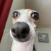 Matt (@mattt_bs) Twitter profile photo Matt (@mattt_bs) Twitter profile photo