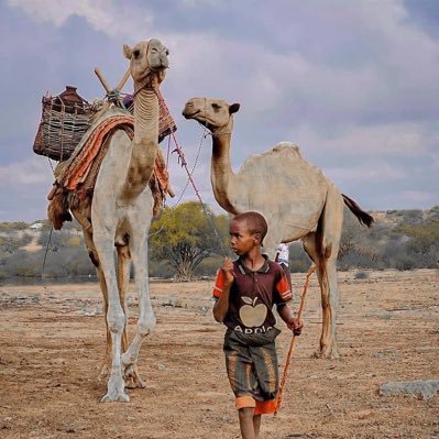 Somali content creator Somali tranditional culture🤍