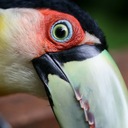 Steve Ron Deebler - @YepSteveRon - Twitter