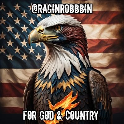 raginrobbbin Profile Picture