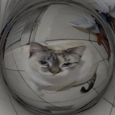 anaxahr's profile picture. HOPE over everything ✰
the music saves my soul