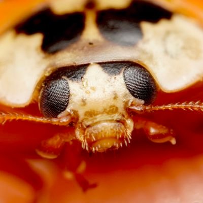 DownardJt61968's profile picture. 