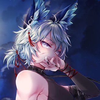 I’m fun and play video games…dm me I’m bored (he/him/foxboy) 18+