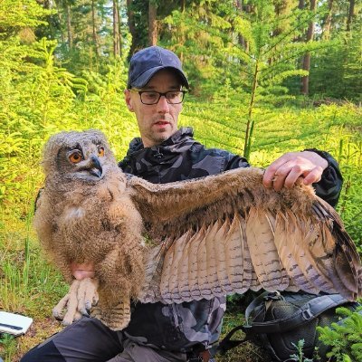 RoofvogelsEmmen's profile picture. | Monitoring & Inventarisatie roofvogels en uilen in Drenthe | Sporenzoeker | Boomvalken | Oehoe in Drenthe | Otter |