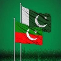 Syeda Fizzah (@syedafizzah2) 's Twitter Profile