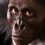 Graecopithecus freybergi is a species of hominin that was originally identified by a single mandible and dated to 7.2 million years ago.