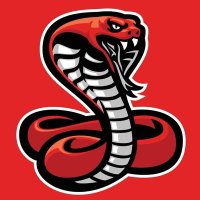 CobraTalks(@Cobra_Talks) 's Twitter Profile Photo