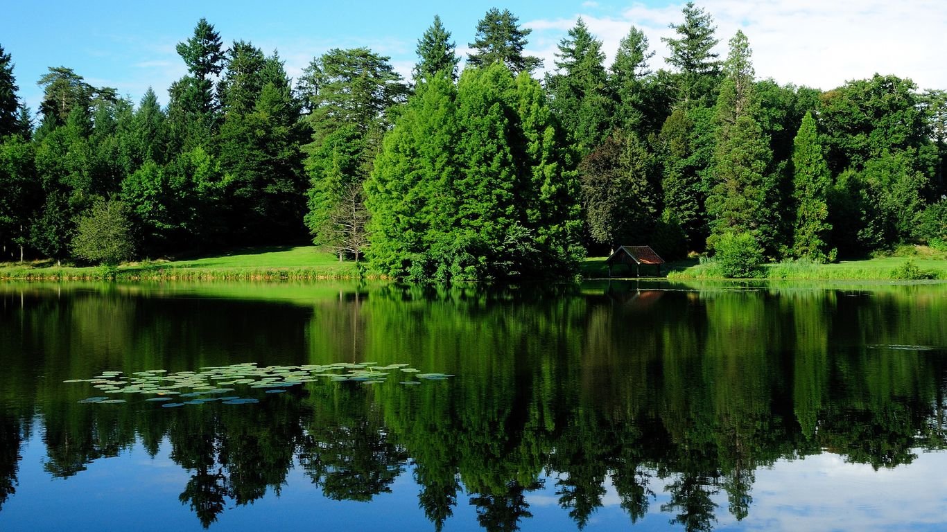 rufftreasw10411's profile picture. QQ：3903584423  微信：bomfans98