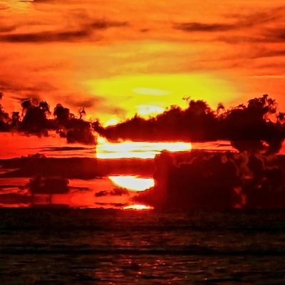 Lauderdaleale's profile picture. 