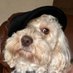 Ted (@ofielden) Twitter profile photo Ted (@ofielden) Twitter profile photo