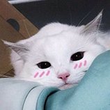 JazzLeGoose's profile picture. Chillin in Catlow