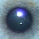 Steve Lombard - @francisfuct - Twitter