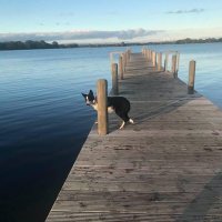 S G (@and1is5) 's Twitter Profile