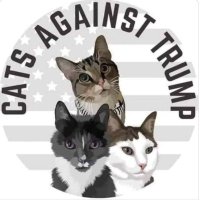 Linda (@lindademocat) Twitter profile photo