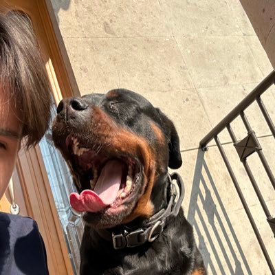 Diegoo_salcedo's profile picture. 