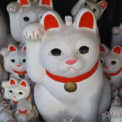 SqgEOCsS0974331's profile picture. 