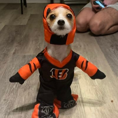 JRG__42's profile picture. Not here by choice. Go Cincinnati sports