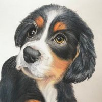 Lily’s Art and Pet Portraits 🎨🖼✍️❤️(@ArtLilyStore) 's Twitter Profile Photo