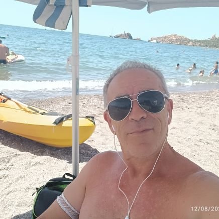 PalomeraPl43207's profile picture. 